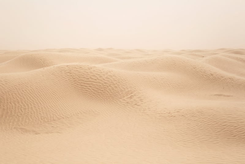 Ténéré Tree, Niger